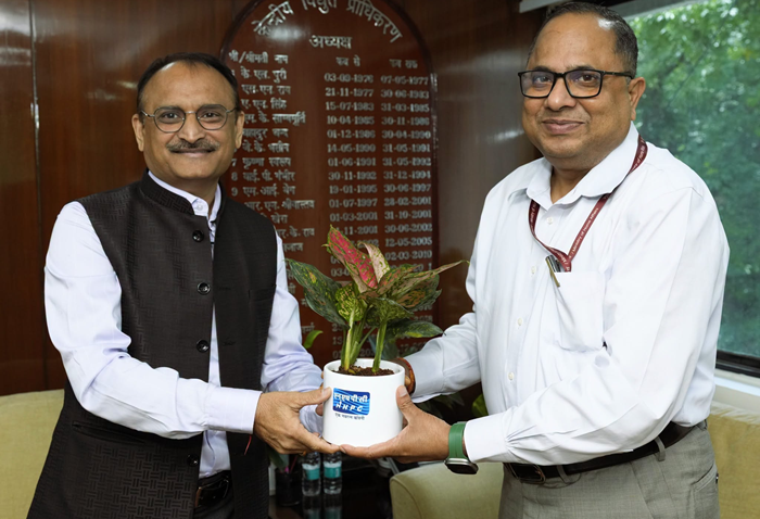 NHPC Director (Pers) meets Chairperson, CEA